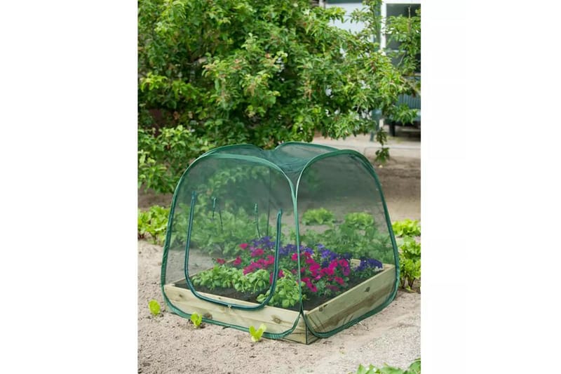 Nature Pop up Kasvihuone 100 x 100 x 100 cm 6020409 - Vihreä - Piha & ulkoaltaat - Viljely & puutarhanhoito - Kasvihuone
 - Vapaasti seisova kasvihuone