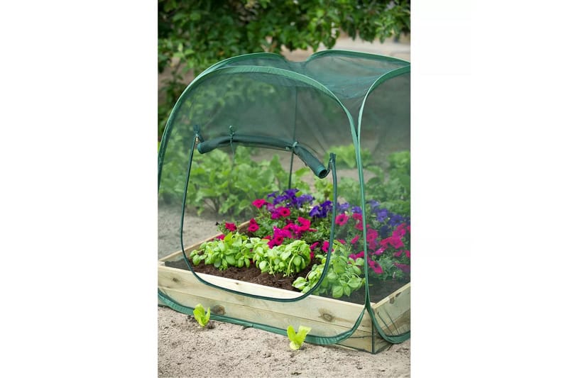 Nature Pop up Kasvihuone 100 x 100 x 100 cm 6020409 - Vihreä - Piha & ulkoaltaat - Viljely & puutarhanhoito - Kasvihuone
 - Vapaasti seisova kasvihuone