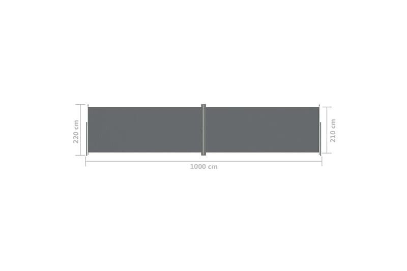 Sisäänvedettävä sivumarkiisi antrasiitti 220x1000 cm - Antrasiitti - Puutarhakalusteet - Aurinkosuoja - Markiisi
 - Parvekemarkiisi