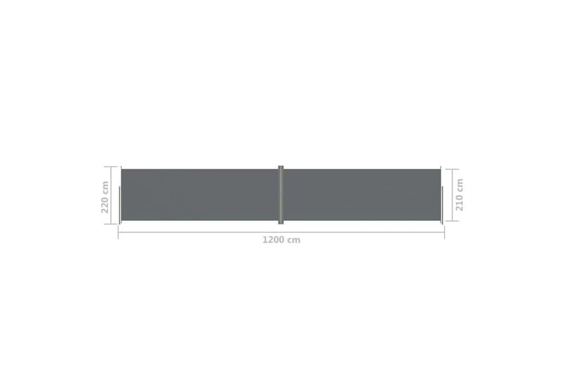 Sisäänvedettävä sivumarkiisi antrasiitti 220x1200 cm - Antrasiitti - Puutarhakalusteet - Aurinkosuoja - Markiisi
 - Parvekemarkiisi