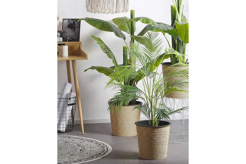 Konstgjord växt Beliani Areca Palm 12x12x124 cm Green||Black - Puutarhakalusteet - Parveke - Parvekeviljely - Parvekekukat