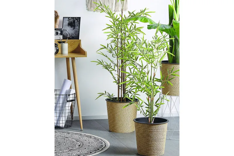 Konstgjord växt Beliani Bambusa Vulgaris 9x9x100 cm Green||Black - Puutarhakalusteet - Parveke - Parvekeviljely - Parvekekukat