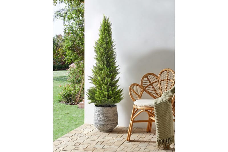 Konstgjord växt Beliani Cedar Tree 50x50x153 cm Green||Dark colored wood - Puutarhakalusteet - Parveke - Parvekeviljely - Parvekekukat