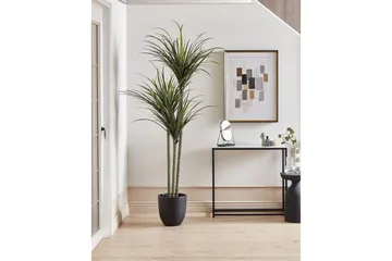 Konstgjord växt Beliani Dracaena Anita Green||Black - Puutarhakalusteet - Parveke - Parvekeviljely - Parvekekukat