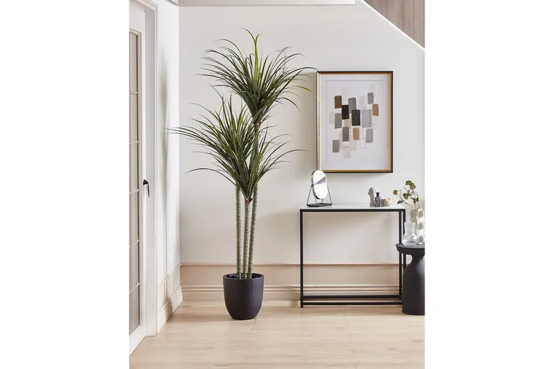 Konstgjord växt Beliani Dracaena Anita Green||Black - Puutarhakalusteet - Parveke - Parvekeviljely - Parvekekukat
