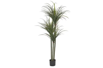 Konstgjord växt Beliani Dracaena Anita Green||Black - Puutarhakalusteet - Parveke - Parvekeviljely - Parvekekukat