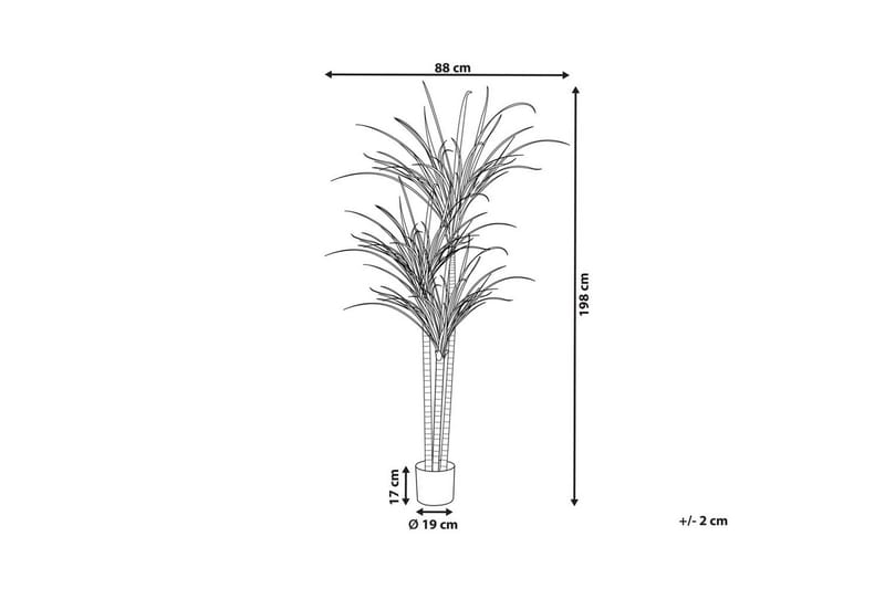 Konstgjord växt Beliani Dracaena Anita Green||Black - Puutarhakalusteet - Parveke - Parvekeviljely - Parvekekukat