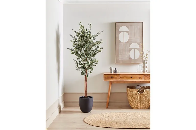 Konstgjord växt Beliani Ficus Green||Black - Puutarhakalusteet - Parveke - Parvekeviljely - Parvekekukat
