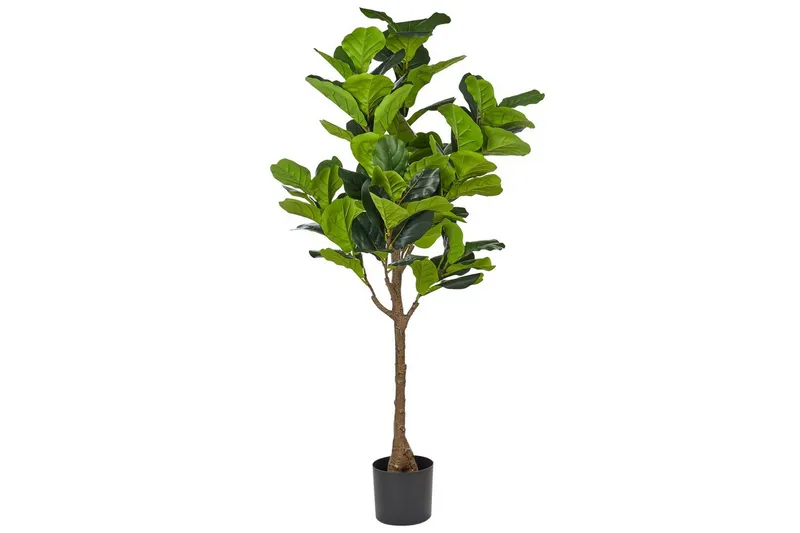 Konstgjord växt Beliani Fig Tree Green||Black