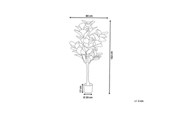 Konstgjord växt Beliani Fig Tree Green||Black - Puutarhakalusteet - Parveke - Parvekeviljely - Parvekekukat
