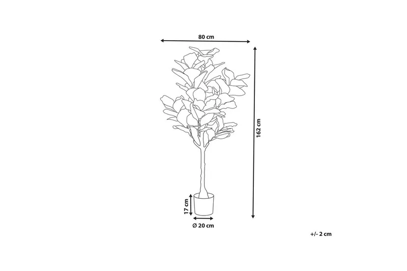 Konstgjord växt Beliani Fig Tree Green||Black - Puutarhakalusteet - Parveke - Parvekeviljely - Parvekekukat