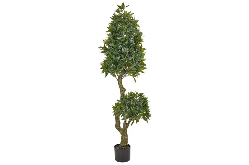 Konstgjord växt Beliani Laurele Green, Black
