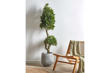 Konstgjord växt Beliani Laurele Green, Black - Puutarhakalusteet - Parveke - Parvekeviljely - Parvekekukat