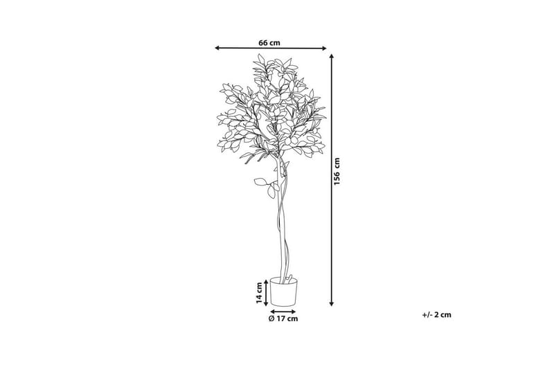 Konstgjord växt Beliani Lemon Tree 66x66x156 cm Green||Black - Puutarhakalusteet - Parveke - Parvekeviljely - Parvekekukat