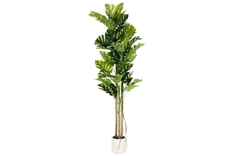 Konstgjord växt Beliani Monstera Plant 71x71x221 cm Green||Black, undefined