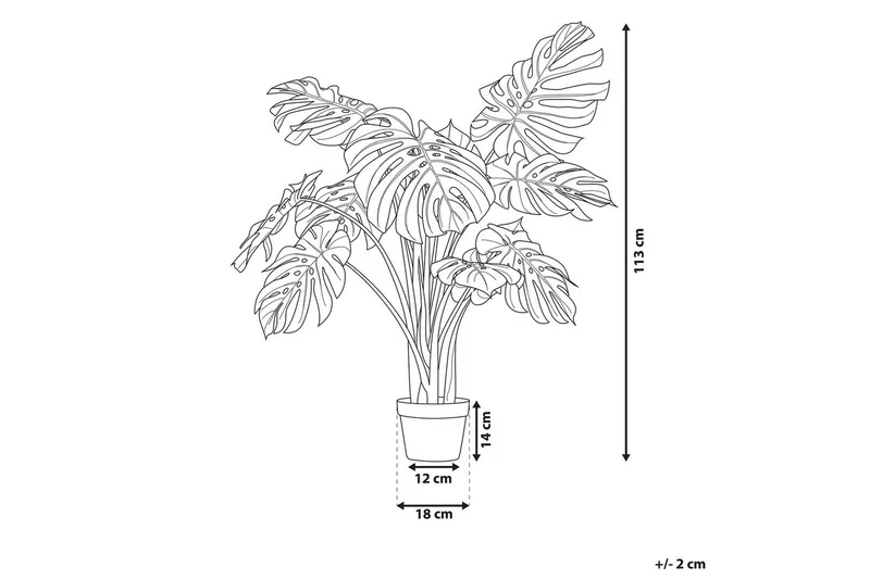 Konstgjord växt Beliani Monstera Plant 12x12x113 cm Green||Black - Puutarhakalusteet - Parveke - Parvekeviljely - Parvekekukat