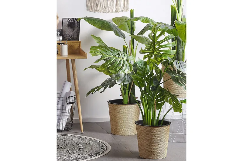 Konstgjord växt Beliani Monstera Plant 12x12x113 cm Green||Black - Puutarhakalusteet - Parveke - Parvekeviljely - Parvekekukat