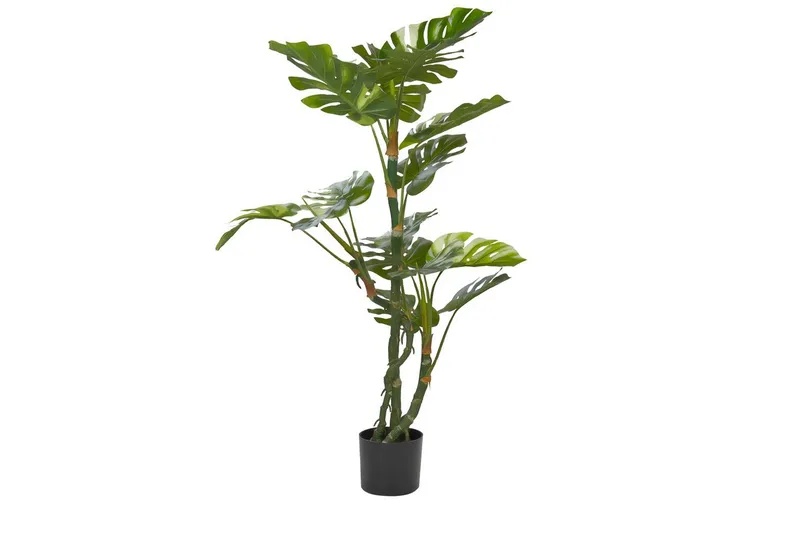 Konstgjord växt Beliani Monstera Plant 75x75x135 cm Green||Black