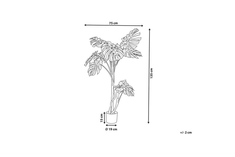 Konstgjord växt Beliani Monstera Plant 75x75x135 cm Green||Black - Puutarhakalusteet - Parveke - Parvekeviljely - Parvekekukat