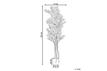 Konstgjord växt Beliani Monstera Plant 71x71x221 cm Green||Black - Puutarhakalusteet - Parveke - Parvekeviljely - Parvekekukat