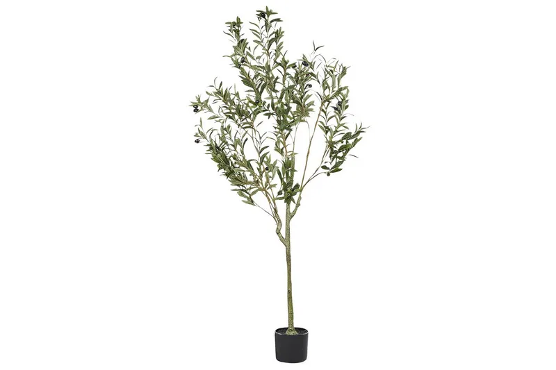 Konstgjord växt Beliani Olive Tree 63x63x153 cm Green||Black, undefined