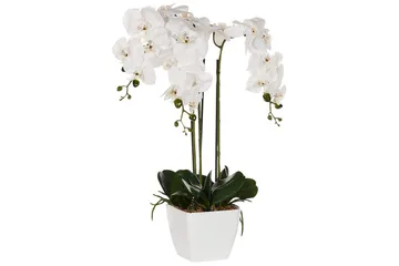 Konstgjord växt Beliani Orchid 22x22x59 cm Green||White - Puutarhakalusteet - Parveke - Parvekeviljely - Parvekekukat