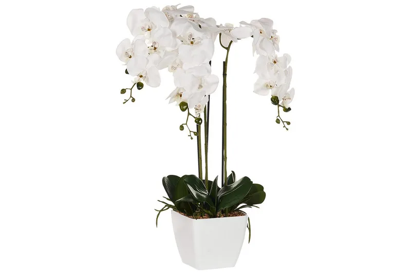 Konstgjord växt Beliani Orchid 22x22x59 cm Green||White - Puutarhakalusteet - Parveke - Parvekeviljely - Parvekekukat