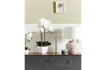 Konstgjord växt Beliani Orchid 22x22x59 cm Green||White - Puutarhakalusteet - Parveke - Parvekeviljely - Parvekekukat