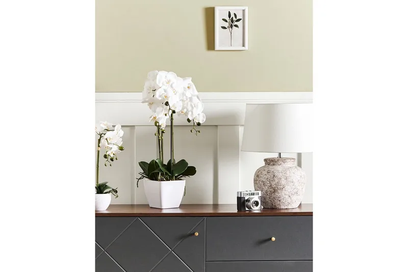 Konstgjord växt Beliani Orchid 22x22x59 cm Green||White - Puutarhakalusteet - Parveke - Parvekeviljely - Parvekekukat