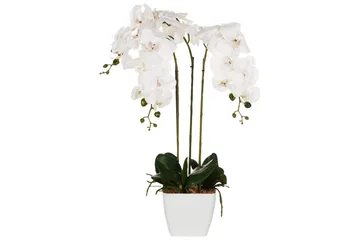 Konstgjord växt Beliani Orchid 22x22x59 cm Green||White - Puutarhakalusteet - Parveke - Parvekeviljely - Parvekekukat