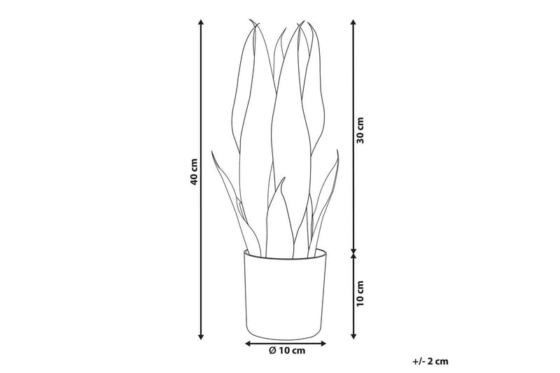 Konstgjord växt Beliani Snake Plant 10x10x40 cm Green||Black - Puutarhakalusteet - Parveke - Parvekeviljely - Parvekekukat