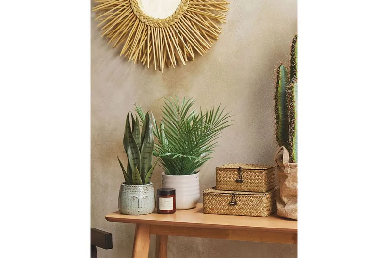 Konstgjord växt Beliani Snake Plant 10x10x40 cm Green||Black - Puutarhakalusteet - Parveke - Parvekeviljely - Parvekekukat