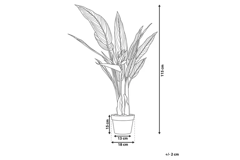 Konstgjord växt Beliani Strelitzia Tree Green||Black||Orange - Puutarhakalusteet - Parveke - Parvekeviljely - Parvekekukat