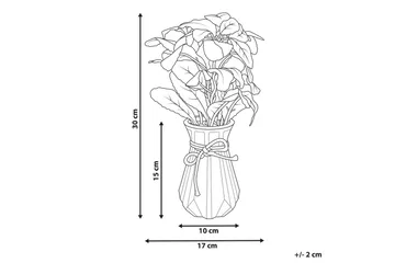 Konstgjord växt Beliani Peperomia Argyreia Green||Black - Puutarhakalusteet - Parveke - Parvekeviljely - Parvekekukat