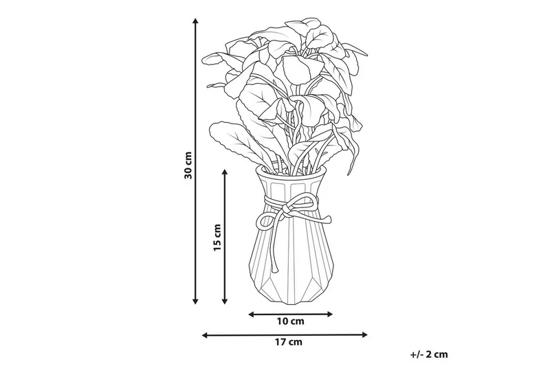 Konstgjord växt Beliani Peperomia Argyreia Green||Black - Puutarhakalusteet - Parveke - Parvekeviljely - Parvekekukat