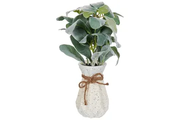 Konstgjord växt Beliani Peperomia Argyreia Green||Black - Puutarhakalusteet - Parveke - Parvekeviljely - Parvekekukat