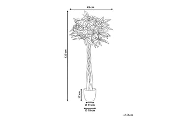 Konstgjord växt Beliani Pachira Tree Green||Black - Puutarhakalusteet - Parveke - Parvekeviljely - Parvekekukat