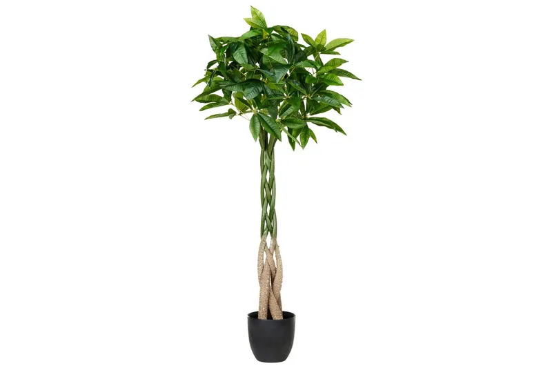 Konstgjord växt Beliani Pachira Tree Green||Black, undefined