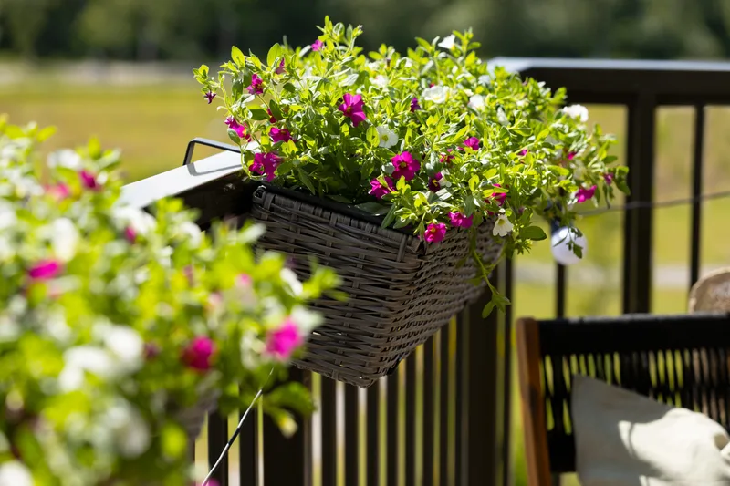 Parvekelaatikko Wicker Harmaa - Puutarhakalusteet - Parveke - Parvekeviljely - Parvekelaatikko