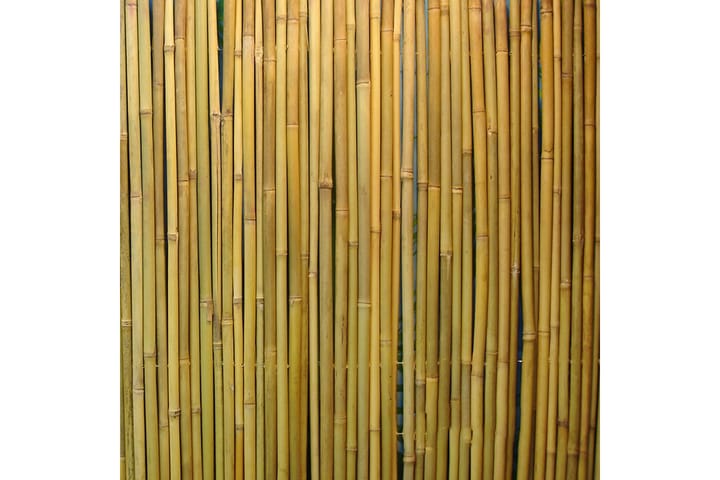 Bambuaita In Garden - Parvekesuoja