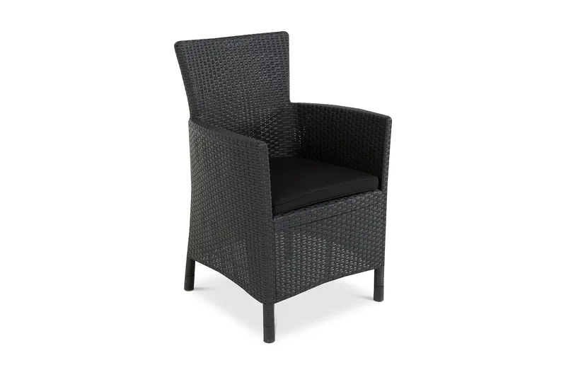 Istuinpehmuste Lady, Musta