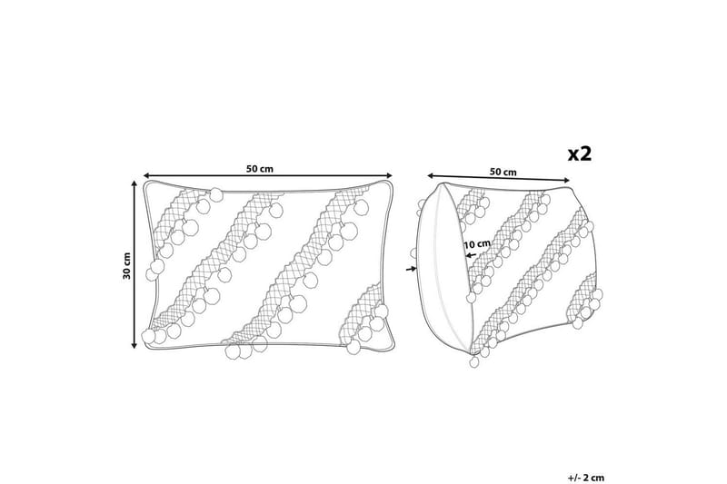 Koristetyynyt Ayroor setti 2 kpl - Kodintekstiilit & matot - Tyyny & torkkupeitto - Koristetyynyt