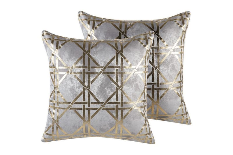 Koristetyynyt Cassia, 2 kpl Harmaa/kulta, Harmaa/kulta