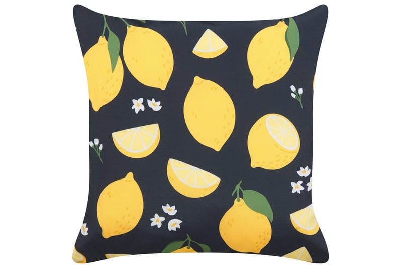 Koristetyynyt Citrus setti 2 - Kodintekstiilit & matot - Tyyny & torkkupeitto - Ulkotyyny