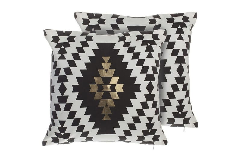 Koristetyynyt Coleus setti 2, undefined