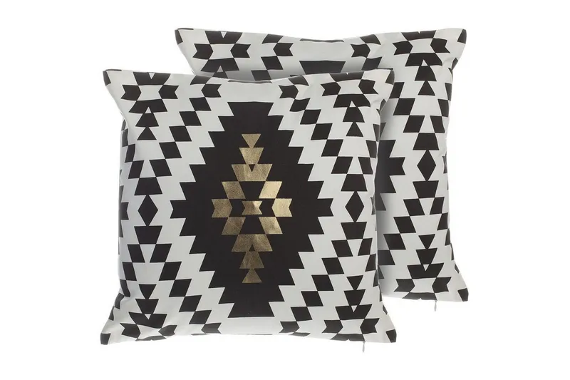 Koristetyynyt Coleus setti 2, undefined