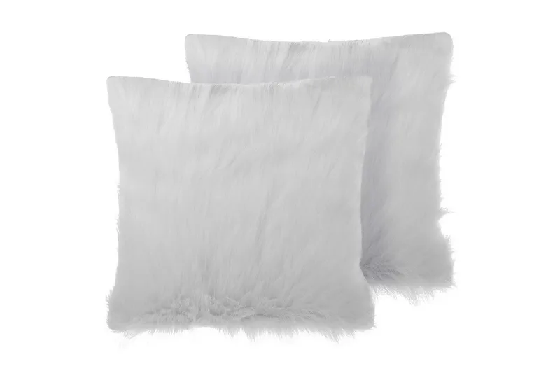 Koristetyynyt Daisy setti, 2 kpl Beige, Beige