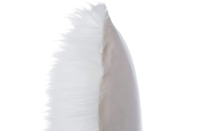 Koristetyynyt Daisy setti, 2 kpl Beige - Beige - Kodintekstiilit & matot - Tyyny & torkkupeitto - Koristetyynyt