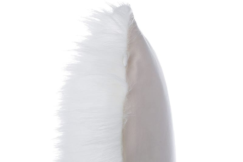 Koristetyynyt Daisy setti, 2 kpl Beige - Beige - Puutarhakalusteet - Pehmusteet - Muut pehmusteet
