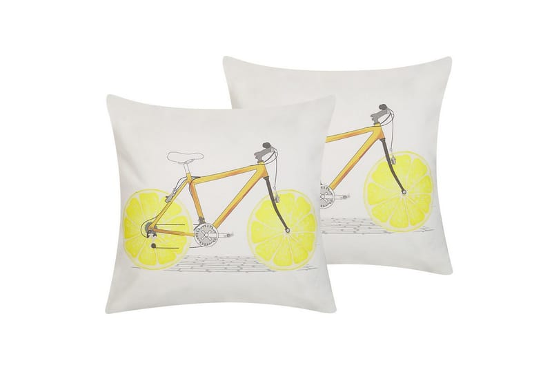 Koristetyynyt Ruscus 2-osainen sarja, undefined